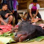 Bazar w Chawngte