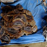 Chawngte, market day